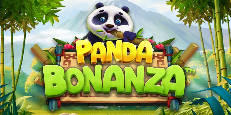 Betpanda Casino Meinungen: Erfahrungen echter Spieler