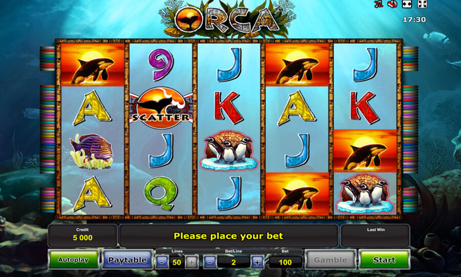 Orca slot