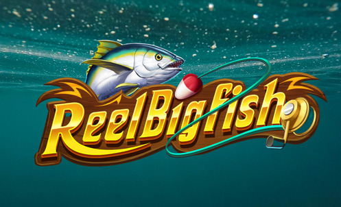 bream fishing rod combo Bream And Whiting Combos  Otto'S Tackle World