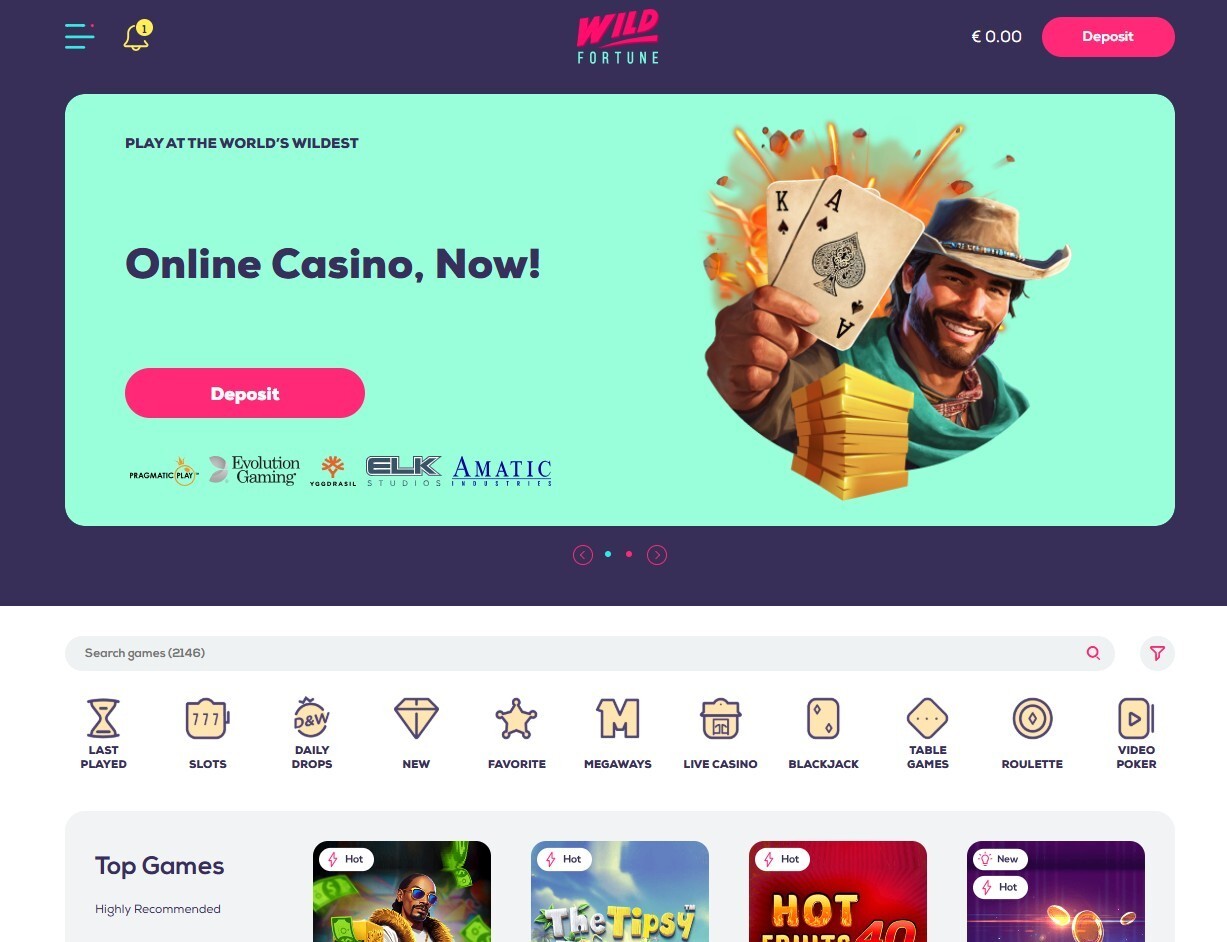 Wild Fortune Casino Landing Page Interface