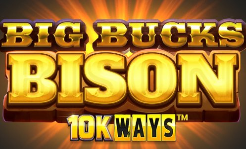 https://bison-casino.biz/