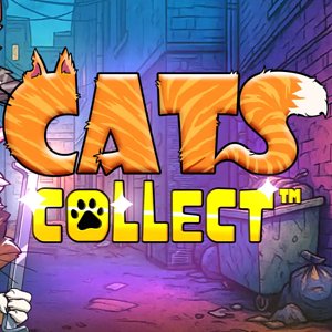 Cats Collect Thumbnail