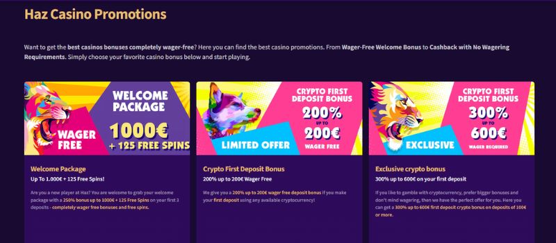 Review: Haz Casino für Spieler aus Deutschland