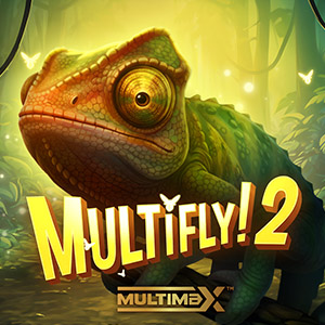MultiFly 2 Thumbnail