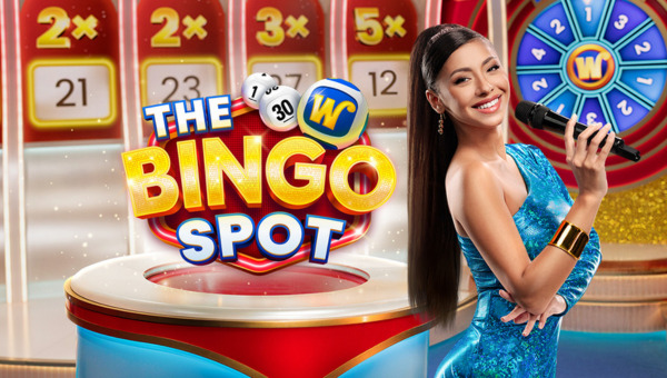 The Bingo Spot live game banner